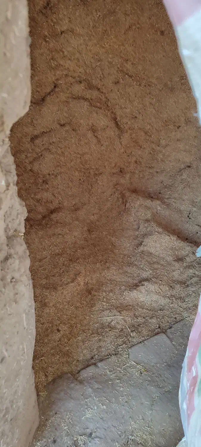 کشاورزی|لوازم جانبی حیوانات|شراء, |دیوار