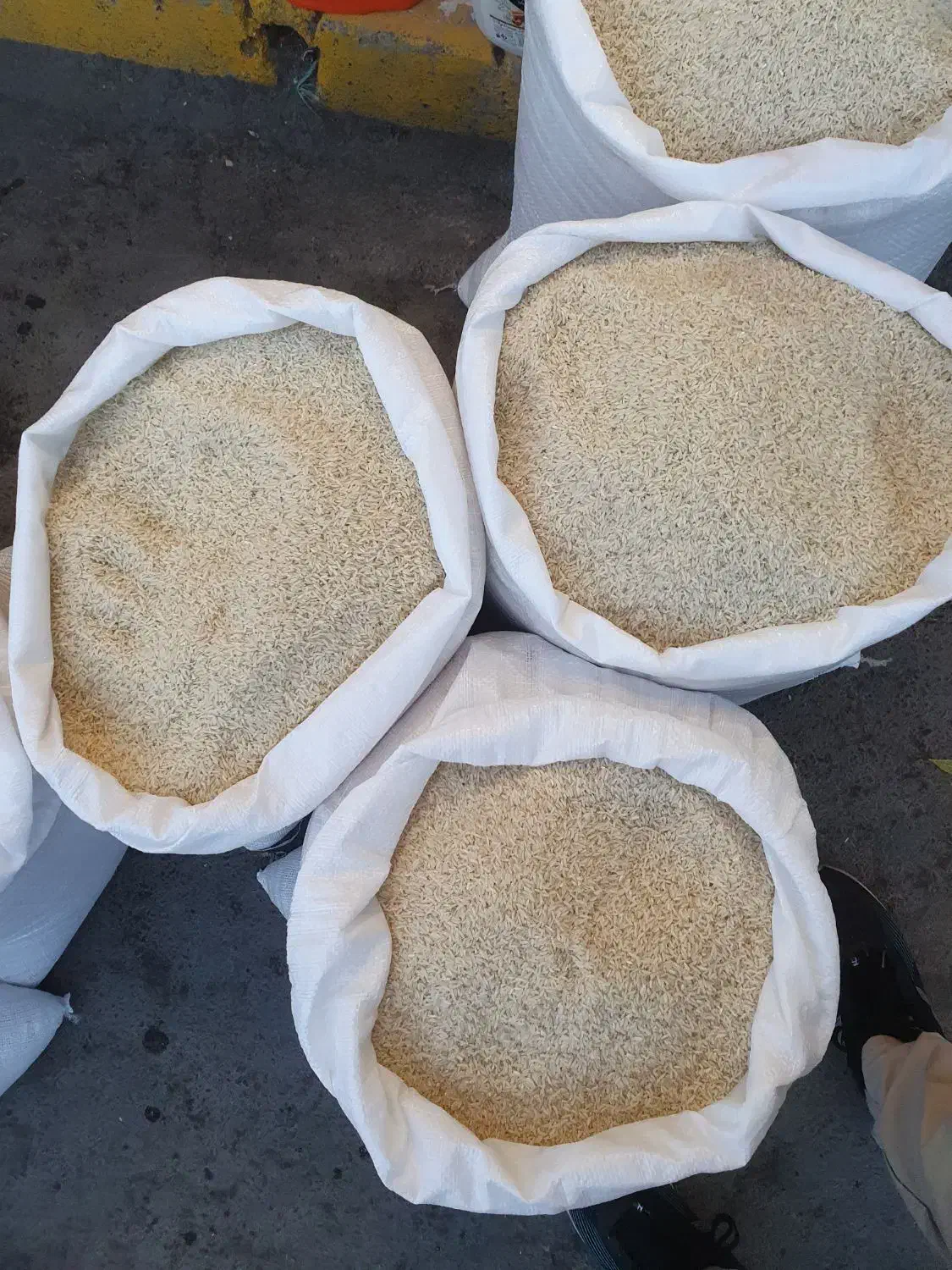 برنج هاشمی مغان و دره رود|خوردنی و آشامیدنی|اهر, |دیوار