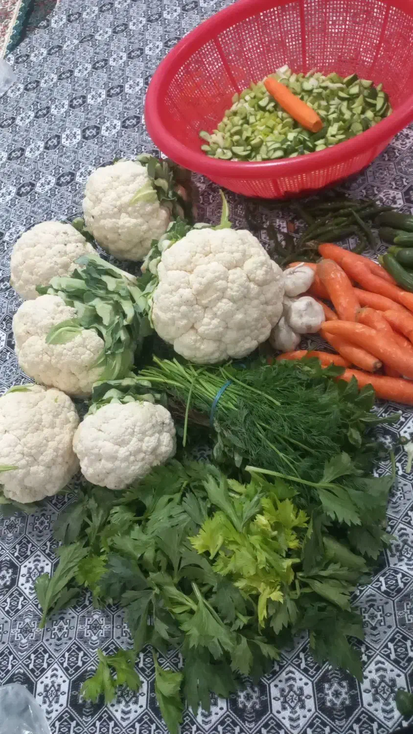 آشپزی با مدیریت خانوم ابراهیمی|خدمات پذیرایی، مراسم|آبیک, |دیوار