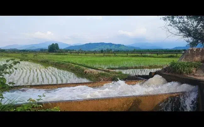 آرد برنج هاشمی|خوردنی و آشامیدنی|رشت, کوی بیانی|دیوار