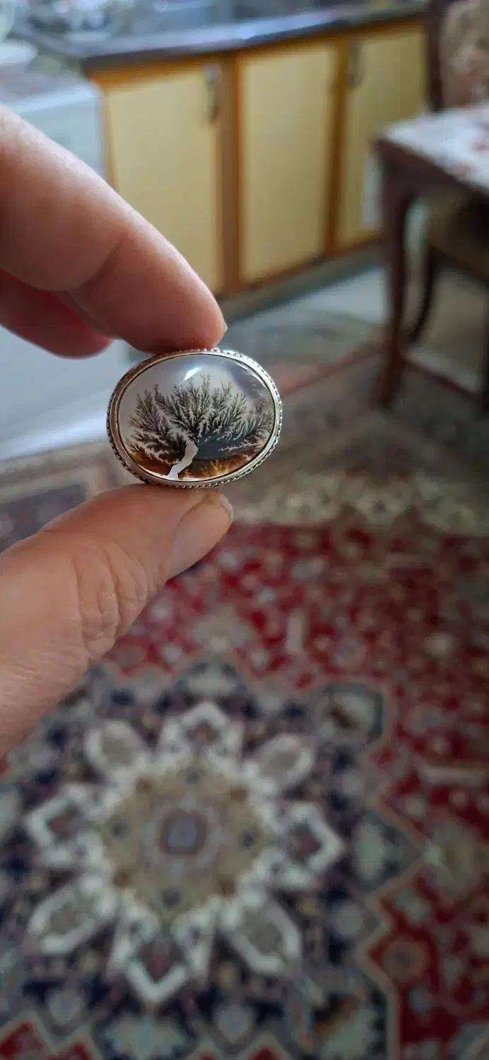 شجر تمام شبکه|کلکسیون اشیاء عتیقه|آفتاب, |دیوار