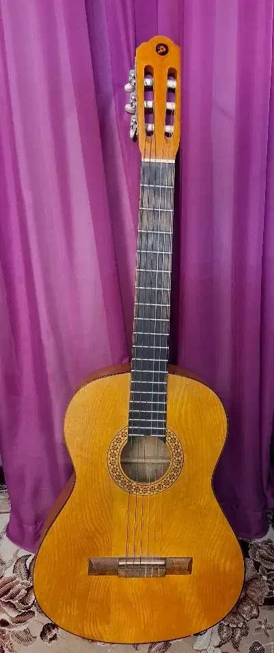 گیتار دسته دو دست ساز|گیتار، بیس، امپلیفایر|آمل, |دیوار