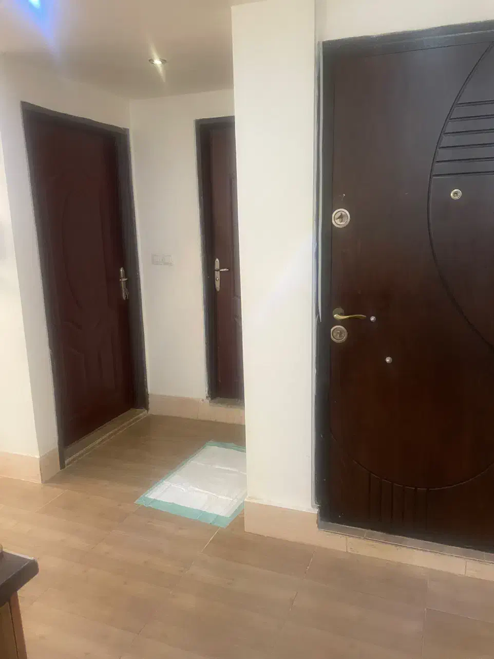 آپارتمان یه خواب بزرگ گلستان شمالی|اجارهٔ آپارتمان|شیراز, شهرک گلستان شمالی|دیوار