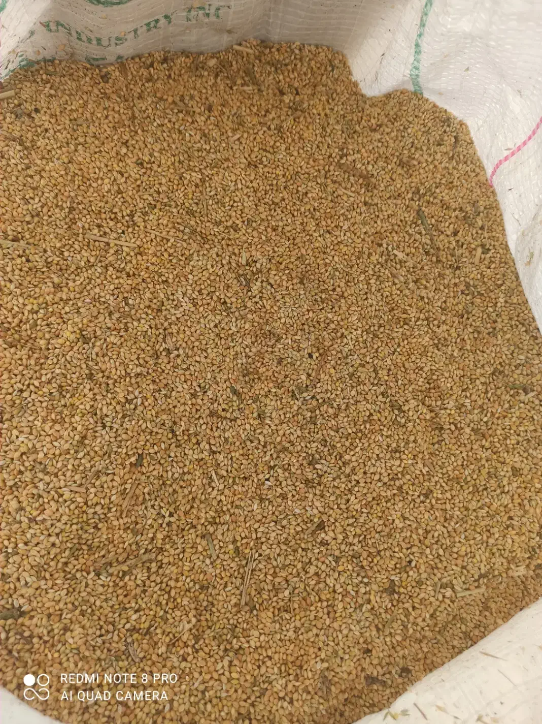 گندم و ارزن|خوردنی و آشامیدنی|قم, شهدا|دیوار