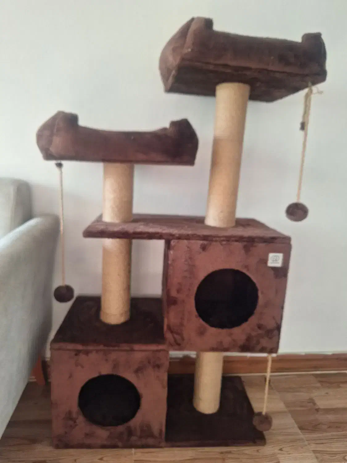 کلبه درختی گربه|لوازم جانبی حیوانات|نوشهر, |دیوار