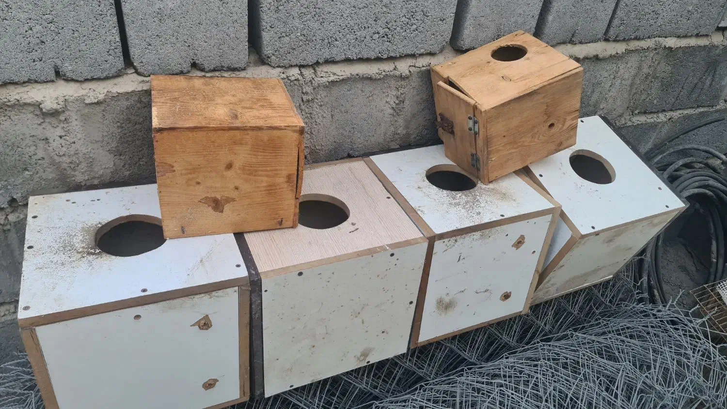 فروش لانه عروس هلندی|لوازم جانبی حیوانات|میناب, |دیوار