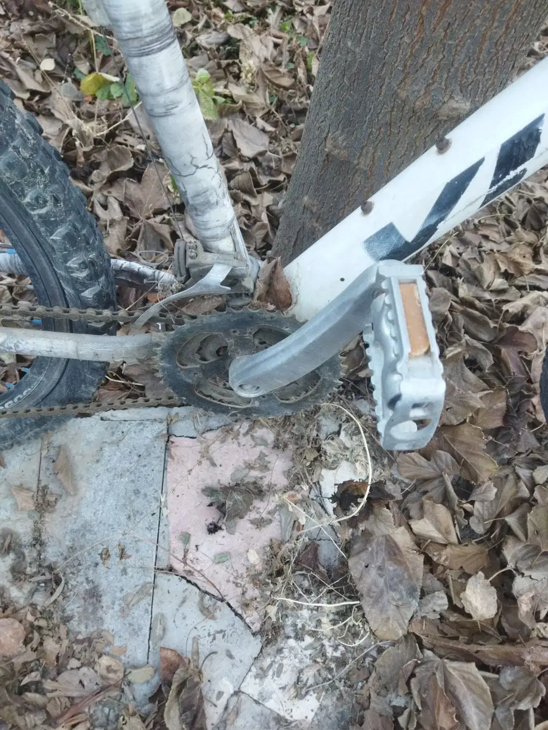 دوچرخه ویوا|دوچرخه، اسکیت، اسکوتر|باسمنج, |دیوار