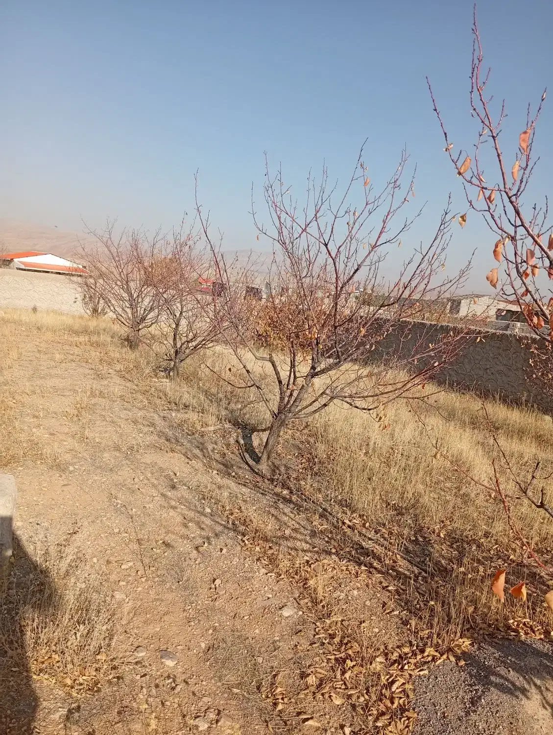 زین آباد ۳۲۰متر|فروش زمین و ملک کلنگی|صوفیان, |دیوار