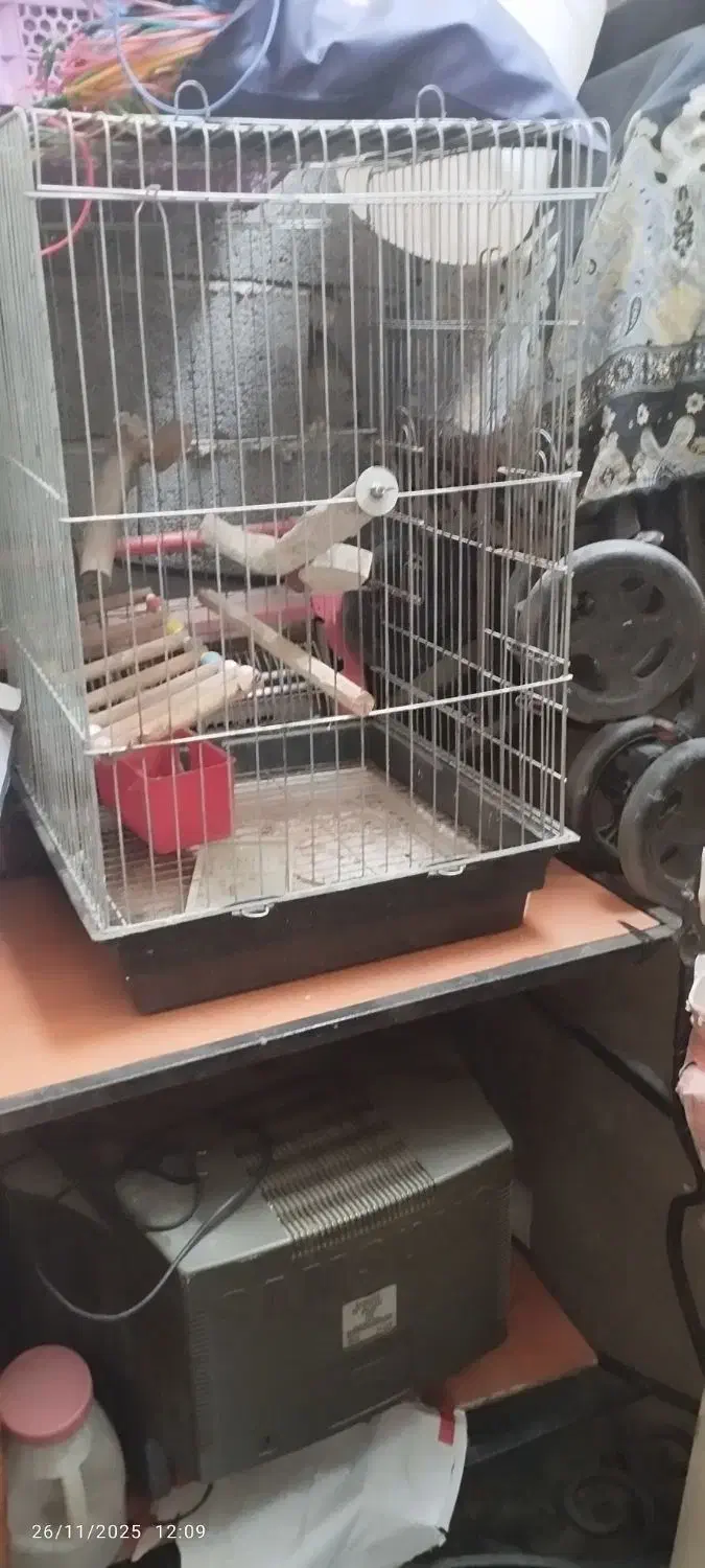 قفس پرنده|لوازم جانبی حیوانات|محمودآباد, |دیوار