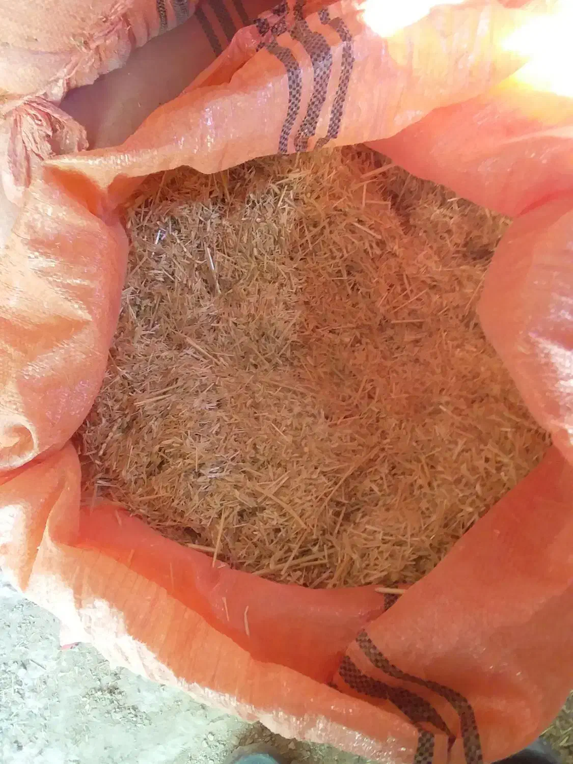 کاه تمیز امسال، شلیف گرفته شده ،کیلویی۱۸۰۰۰ تومان|حیوانات مزرعه|چرام, |دیوار