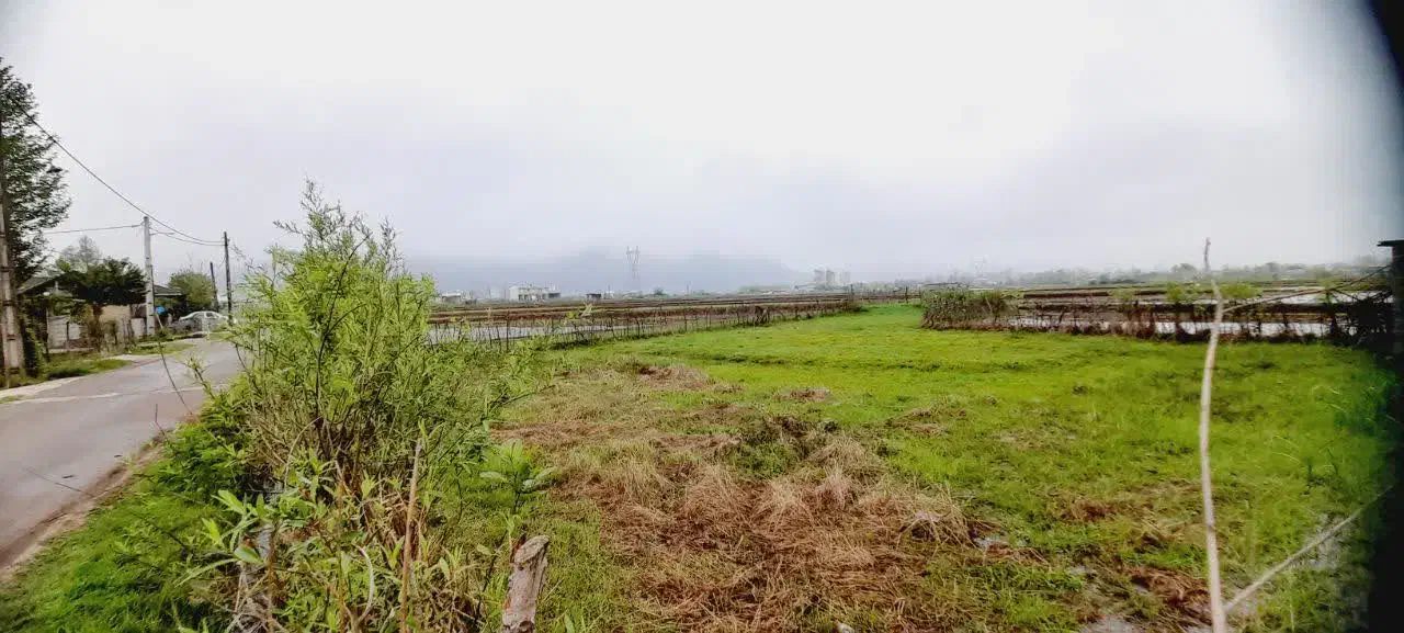 فروش شالیزار غرب گیلان|فروش زمین و ملک کلنگی|رشت, استادسرا|دیوار