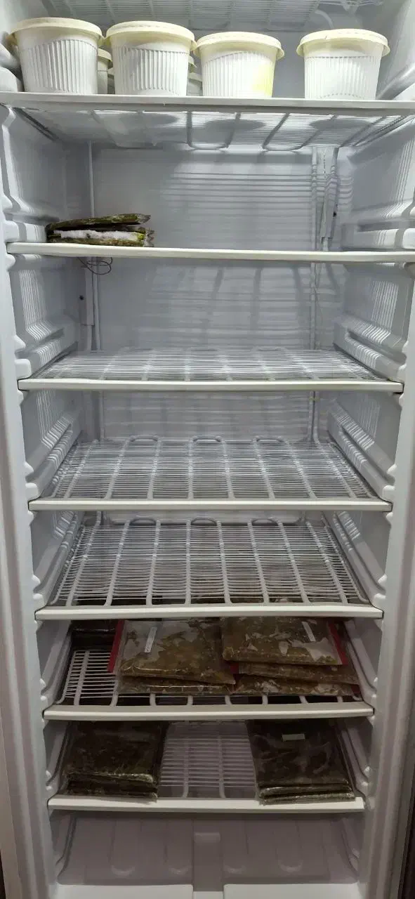 فریزرتک درب ویترینی|فروشگاه و مغازه|لنگرود, |دیوار