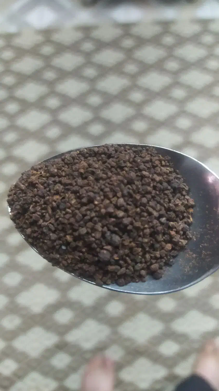 چای کله مورچه هندی|خوردنی و آشامیدنی|قم, شاه ابراهیم|دیوار