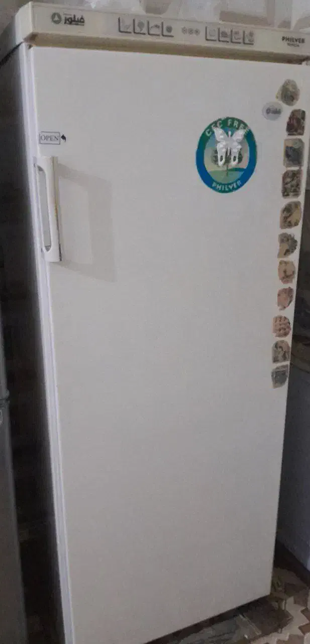 یخچال فیلور سالم وتمیز|یخچال و فریزر|بردسیر, |دیوار