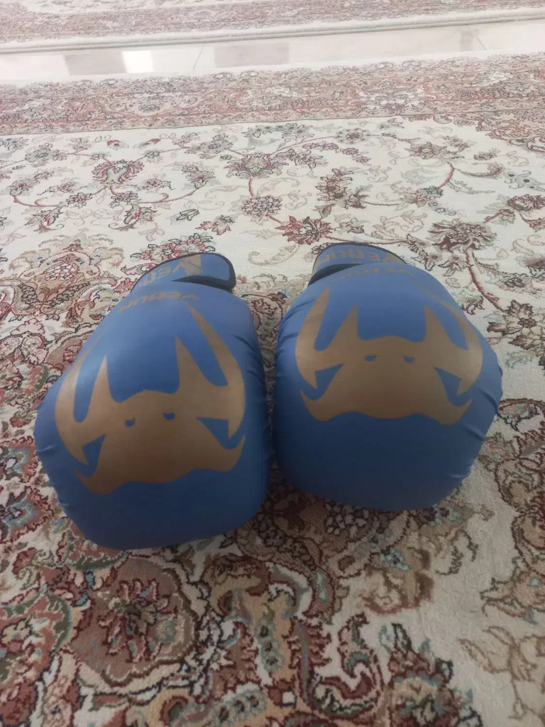 دستکش بوکس|تجهیزات ورزشی|ارومیه, |دیوار