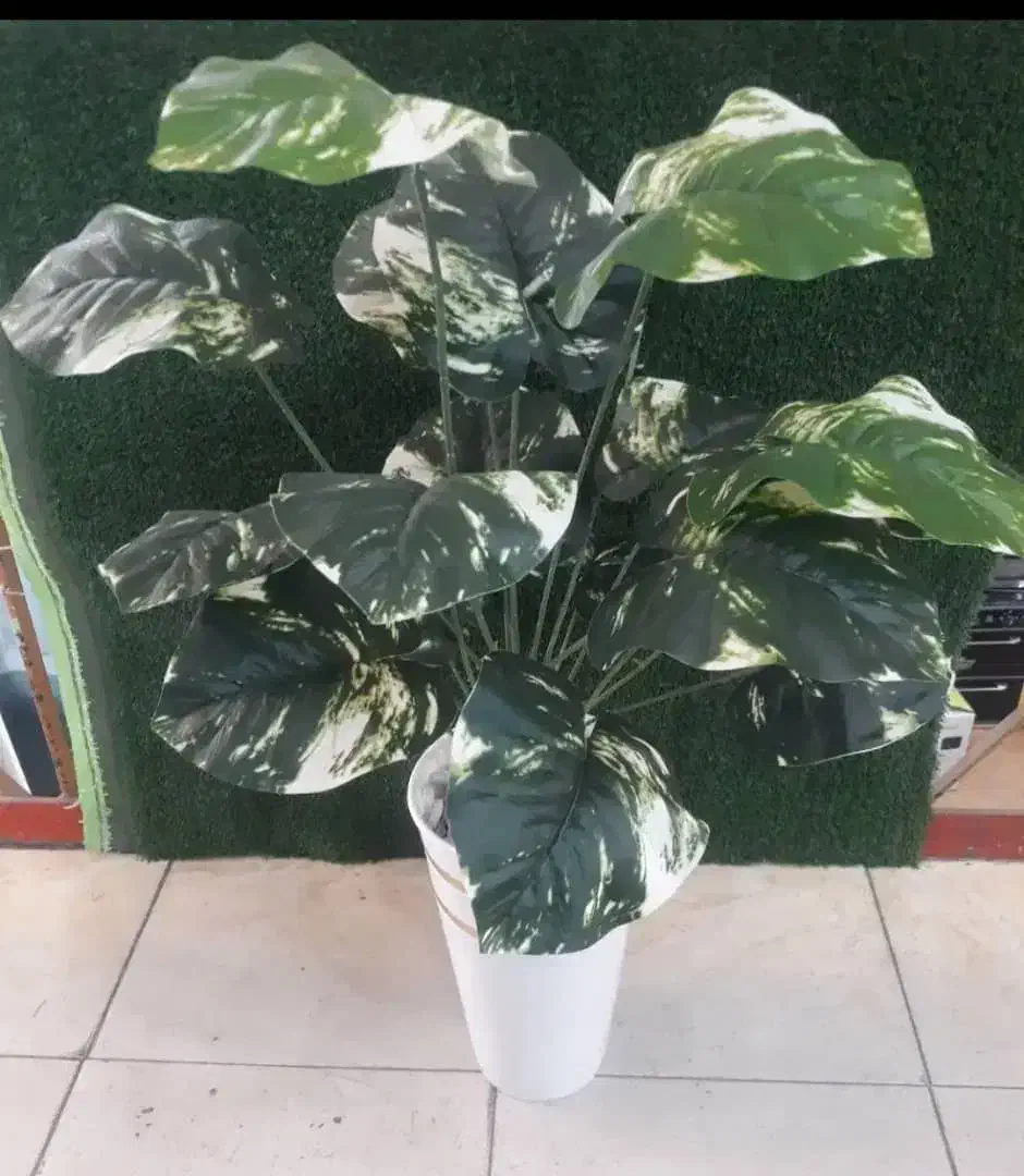 کادوی روزمادروروززن بادرختچهای مصنوعی فانتزی وشیک|گل و گیاه طبیعی|شوشتر, |دیوار