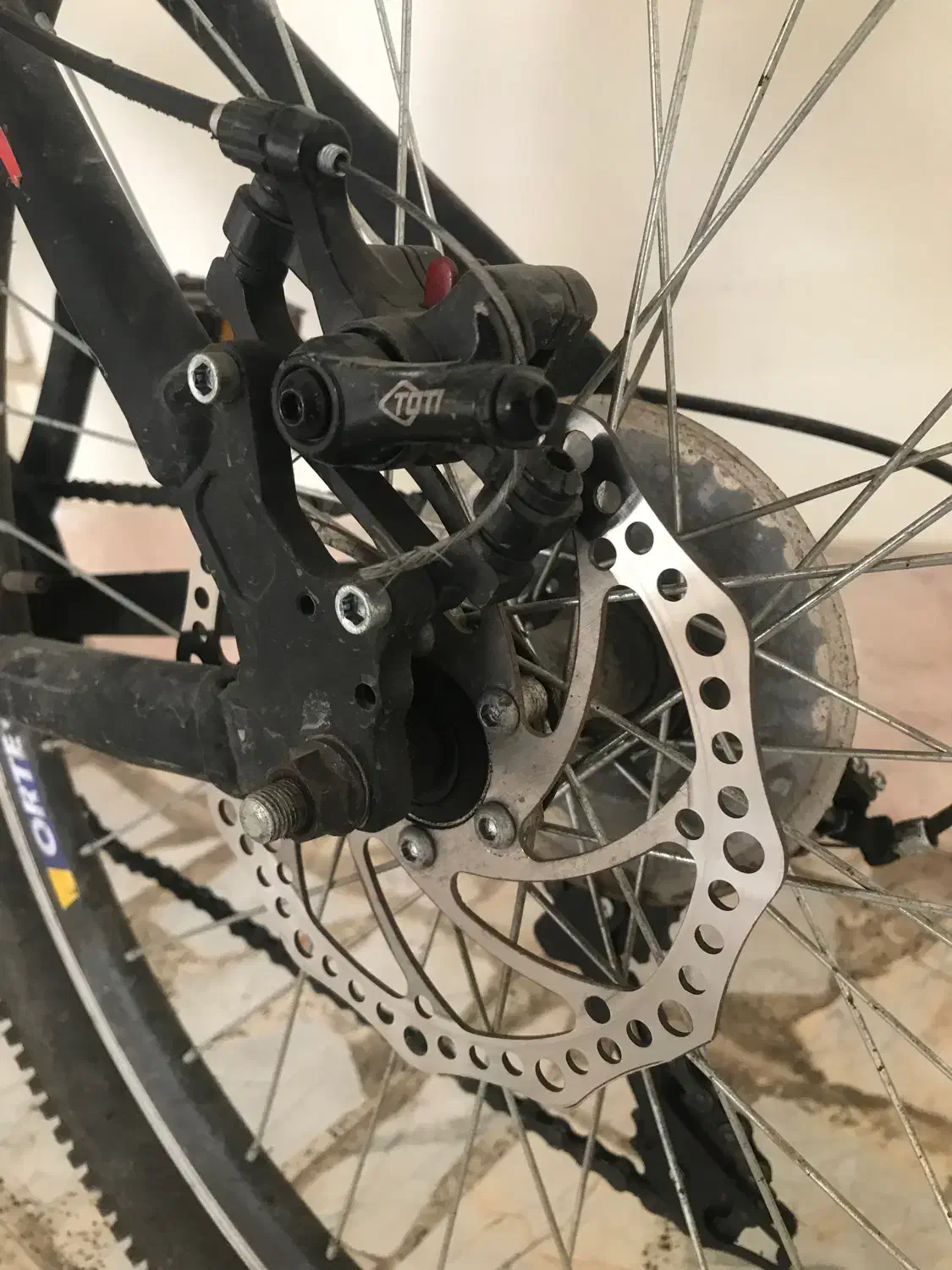 دوچرخه طرح ویوا|دوچرخه، اسکیت، اسکوتر|لاهیجان, شقایق|دیوار