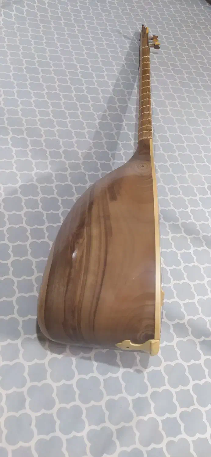 تنبور کشکول دو مهر|سازهای سنتی|ملایر, |دیوار