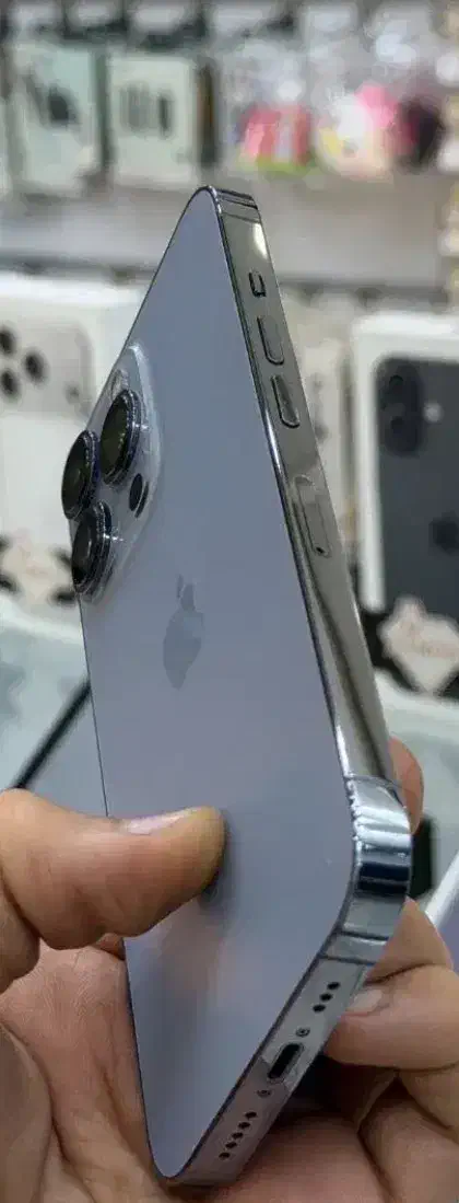 آیفون ۱۳ پرو|موبایل|یزد, |دیوار