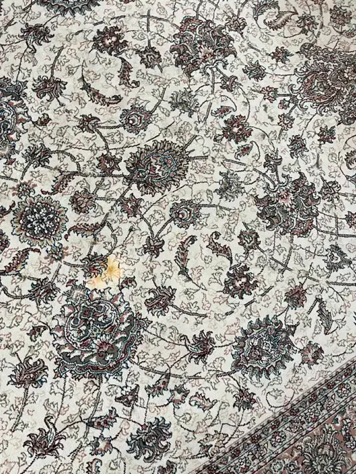 فرش ۶متری|فرش|زنجان, |دیوار