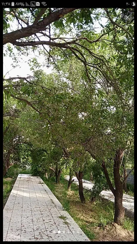 باغ|فروش زمین و ملک کلنگی|پاریز, |دیوار