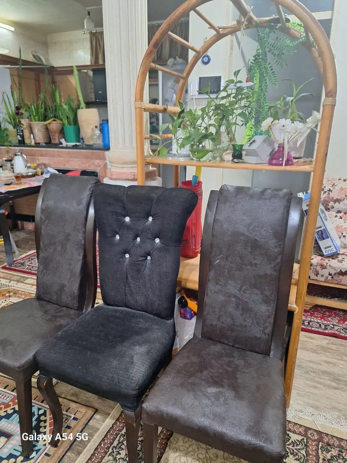 صندلی و میز|صندلی و نیمکت|بوشهر, |دیوار