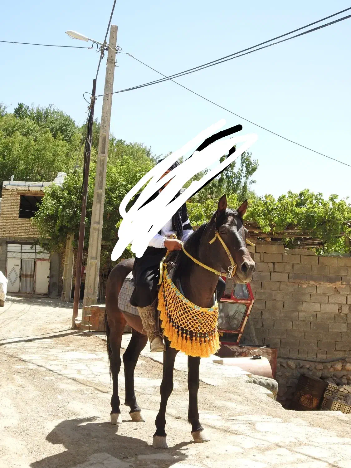سوار کاری اسب ومادیان|اسب و تجهیزات اسبسواری|سنندج, |دیوار