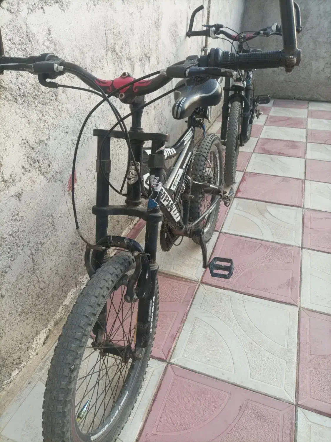 2 عدد دوچرخه20 تکی هم میفروشیم فوری|دوچرخه، اسکیت، اسکوتر|گرمی, |دیوار