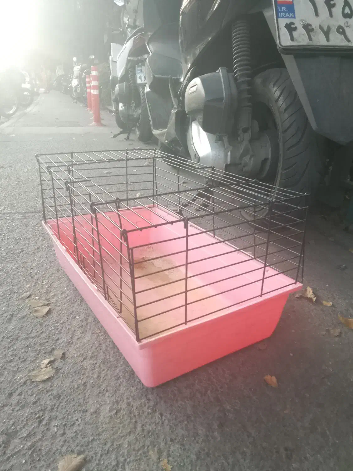 باکس قفس پت خانگی|لوازم جانبی حیوانات|تهران, نصرت|دیوار