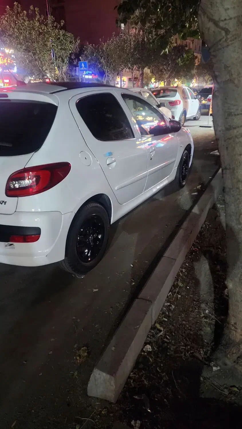 ۲۰۷ مدل ۱۴۰۳ پانا|خودرو سواری و وانت|ری, ظهیرآباد|دیوار