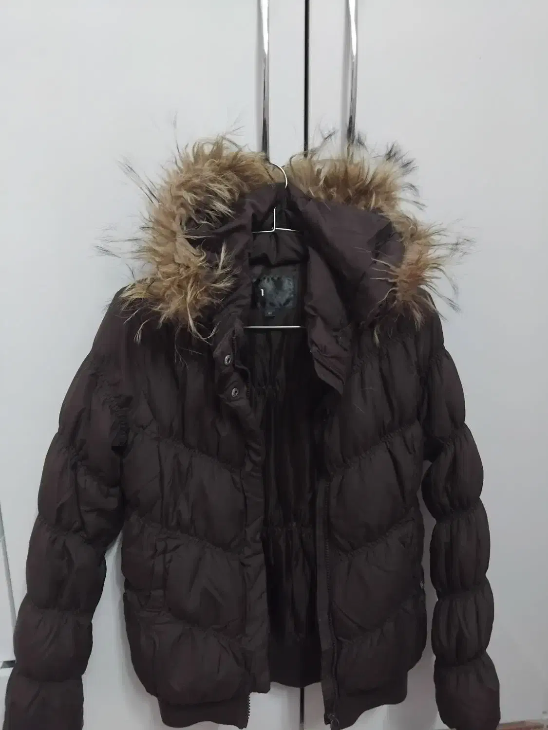 کاپشن|لباس|بیرجند, |دیوار