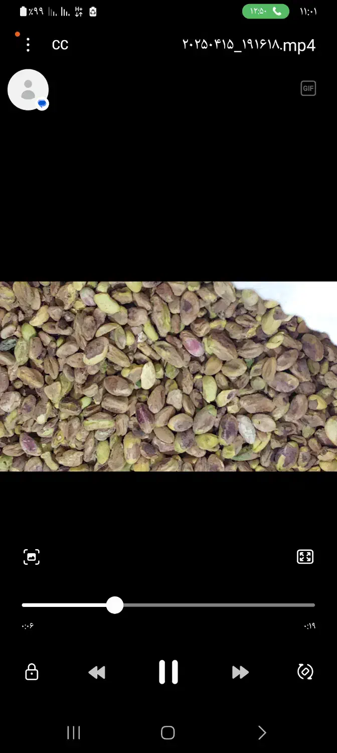 مغز پسته|خوردنی و آشامیدنی|شیراز, حومه شیراز|دیوار