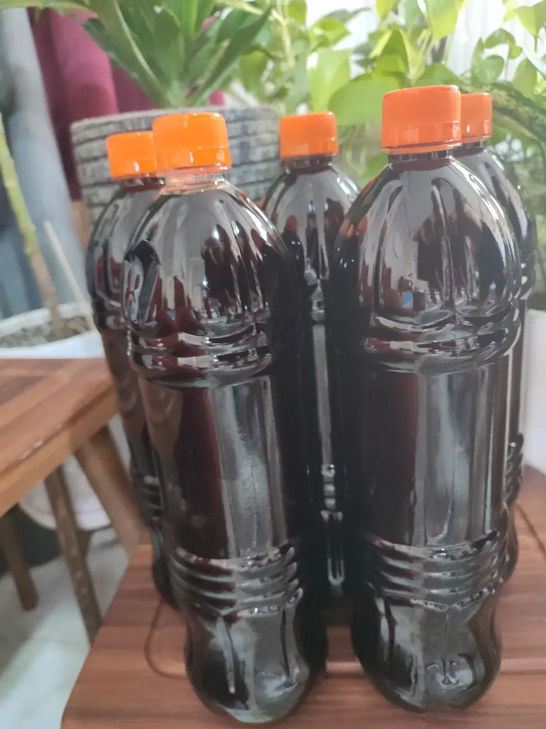 روغن زیتون اصل به شرط|خوردنی و آشامیدنی|رشت, حافظ آباد|دیوار