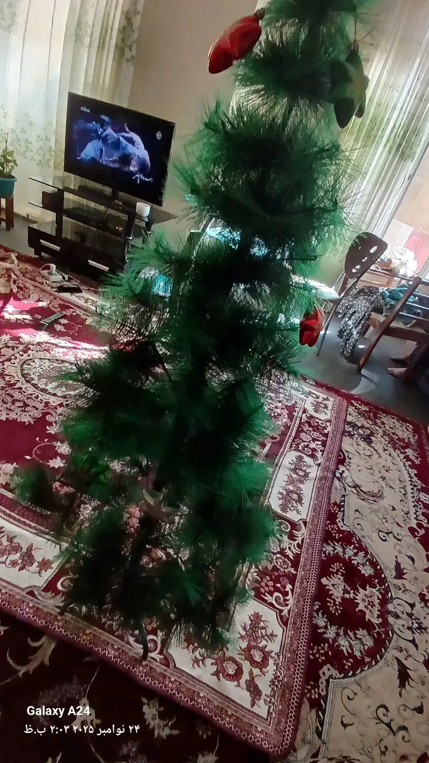درختچه ی کریسمس|گل مصنوعی|شیراز, شهرک امیر کبیر|دیوار