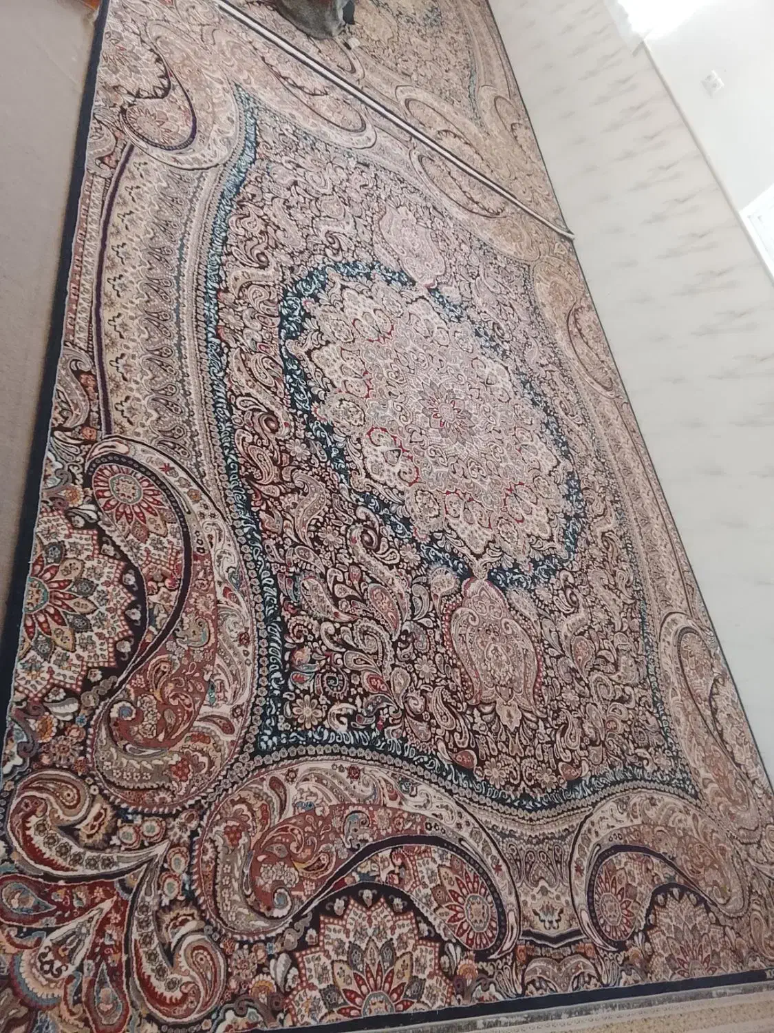 جفت فرش 12متری|فرش|خواف, |دیوار