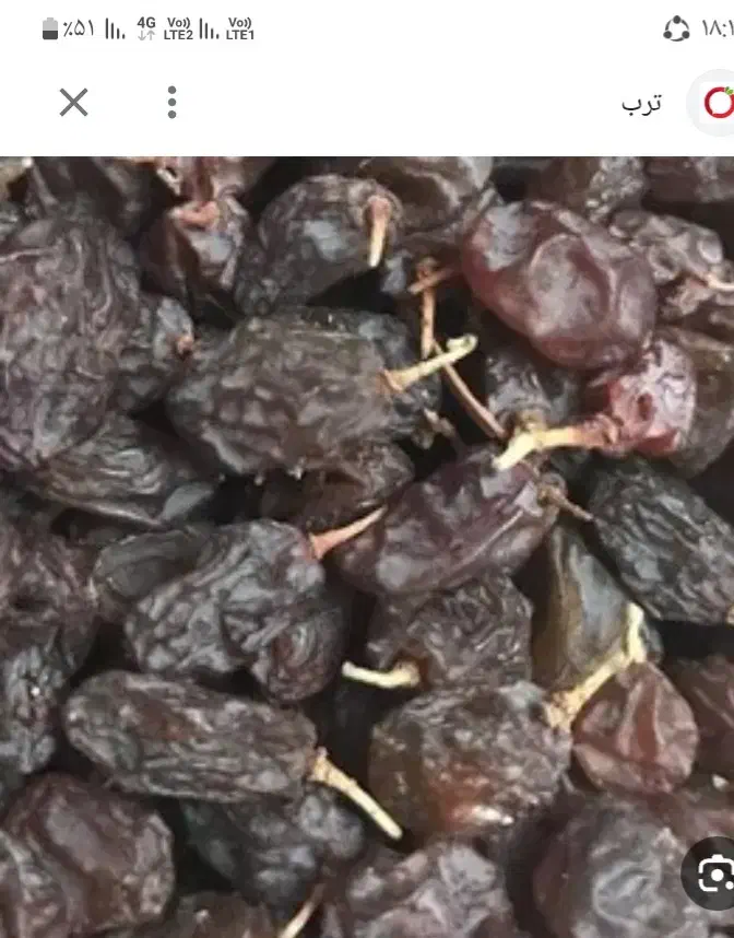 کشمش بیدانه|خوردنی و آشامیدنی|محمدیه-قزوین, |دیوار