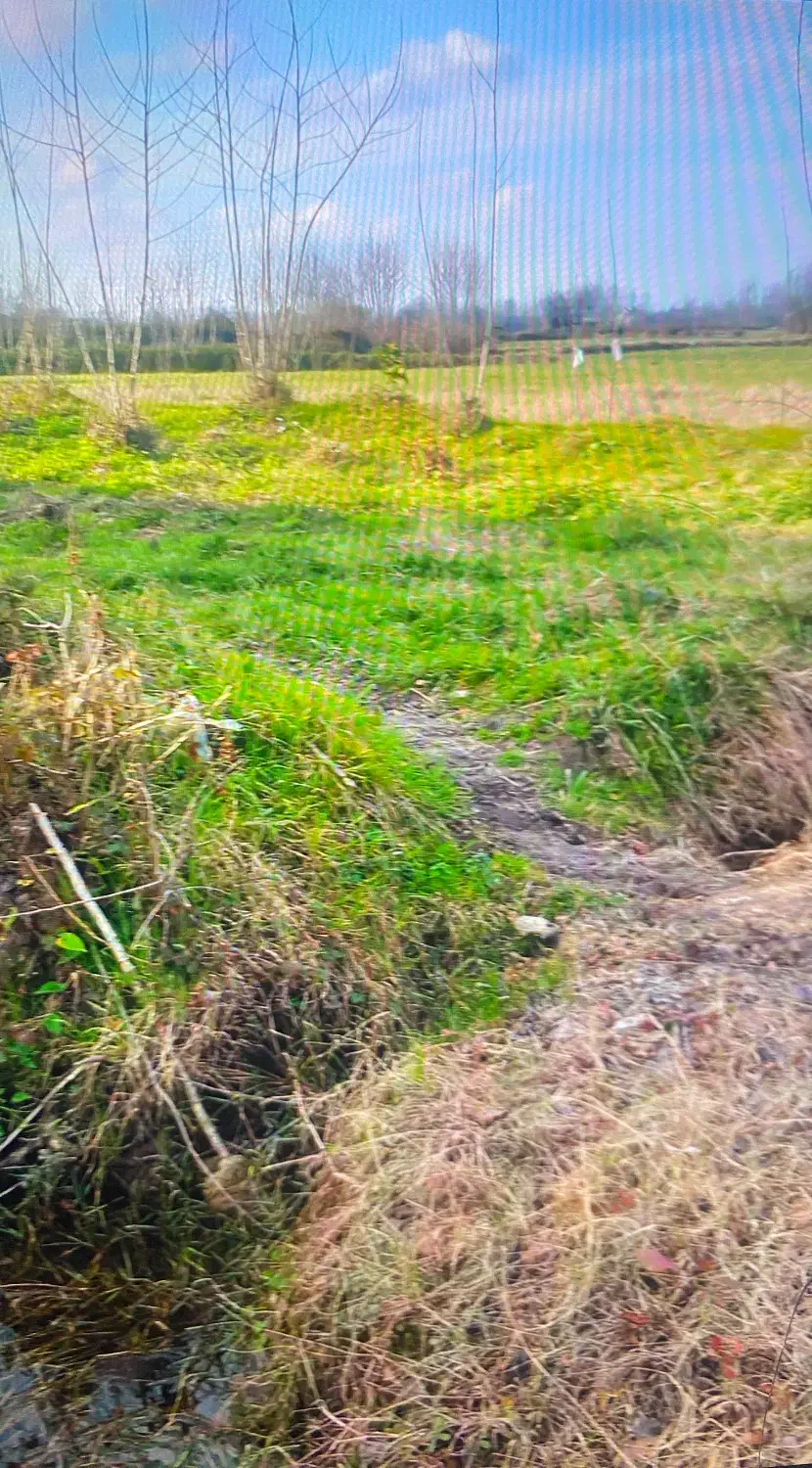 1000متر زمین مسکونی|فروش زمین و ملک کلنگی|رشت, فلسطین|دیوار