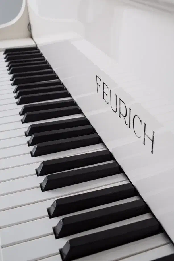 آموزش موسیقی ( خوانندگی ، نوازندگی ، آهنگسازی)|خدمات آموزشی|چناران, |دیوار