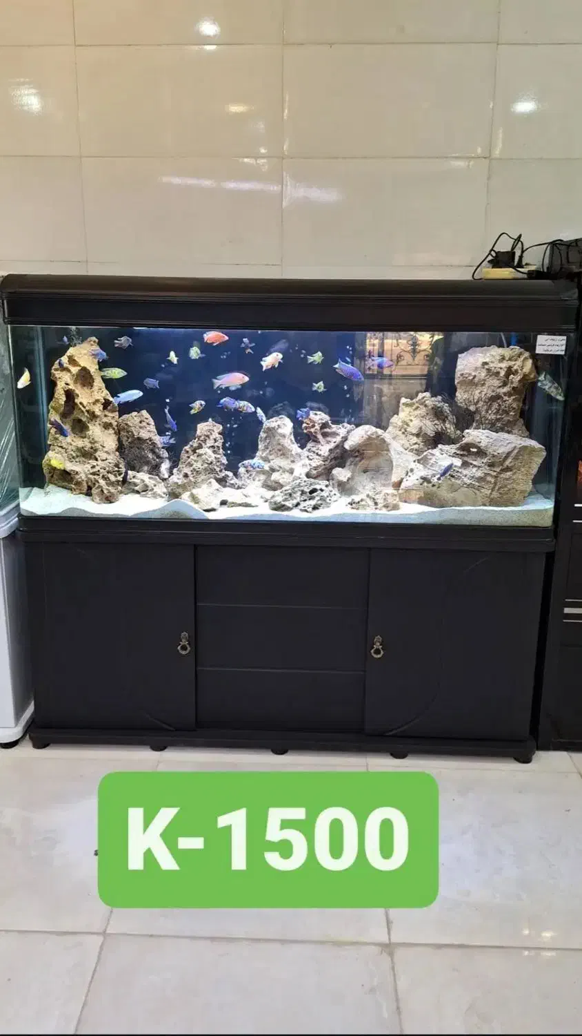 آکواریوم های خارجی شرکتی شیشه خم|ماهی|زاهدان, |دیوار