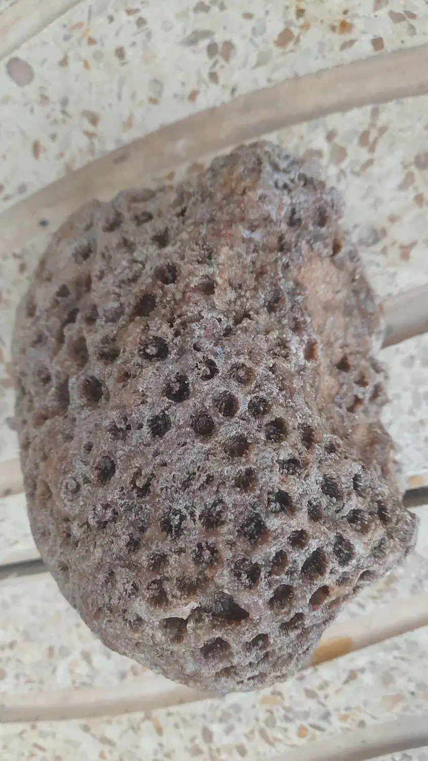 سنگهای قیمتی عقیق.مرجان|کلکسیون اشیاء عتیقه|هشترود, |دیوار