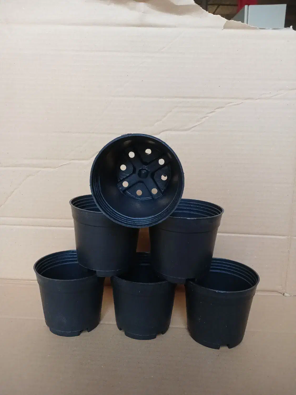 گلدان پلاستیکی ، گلدان زینتی گلپونه|عمده‌فروشی|چابکسر, |دیوار