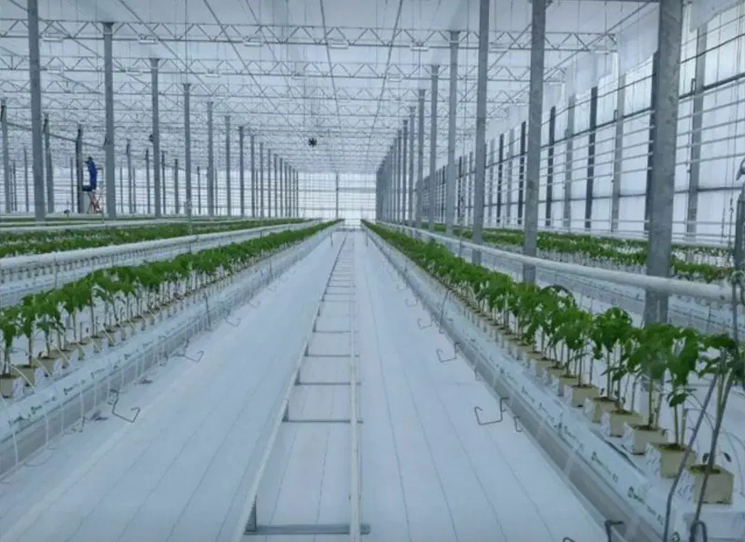 به تعداد گارگر بالارو احتیاج دا ریم|استخدام صنعتی، فنی، مهندسی|اراک, |دیوار