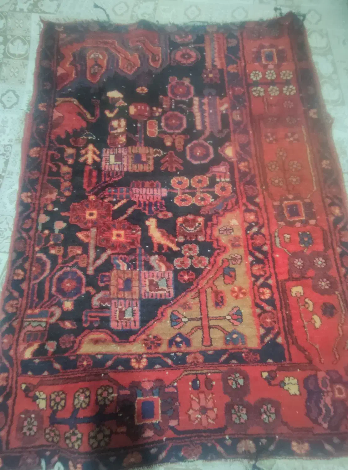 فرش دستباف قدمت دار|فرش|شهریار, شهرک وائین|دیوار