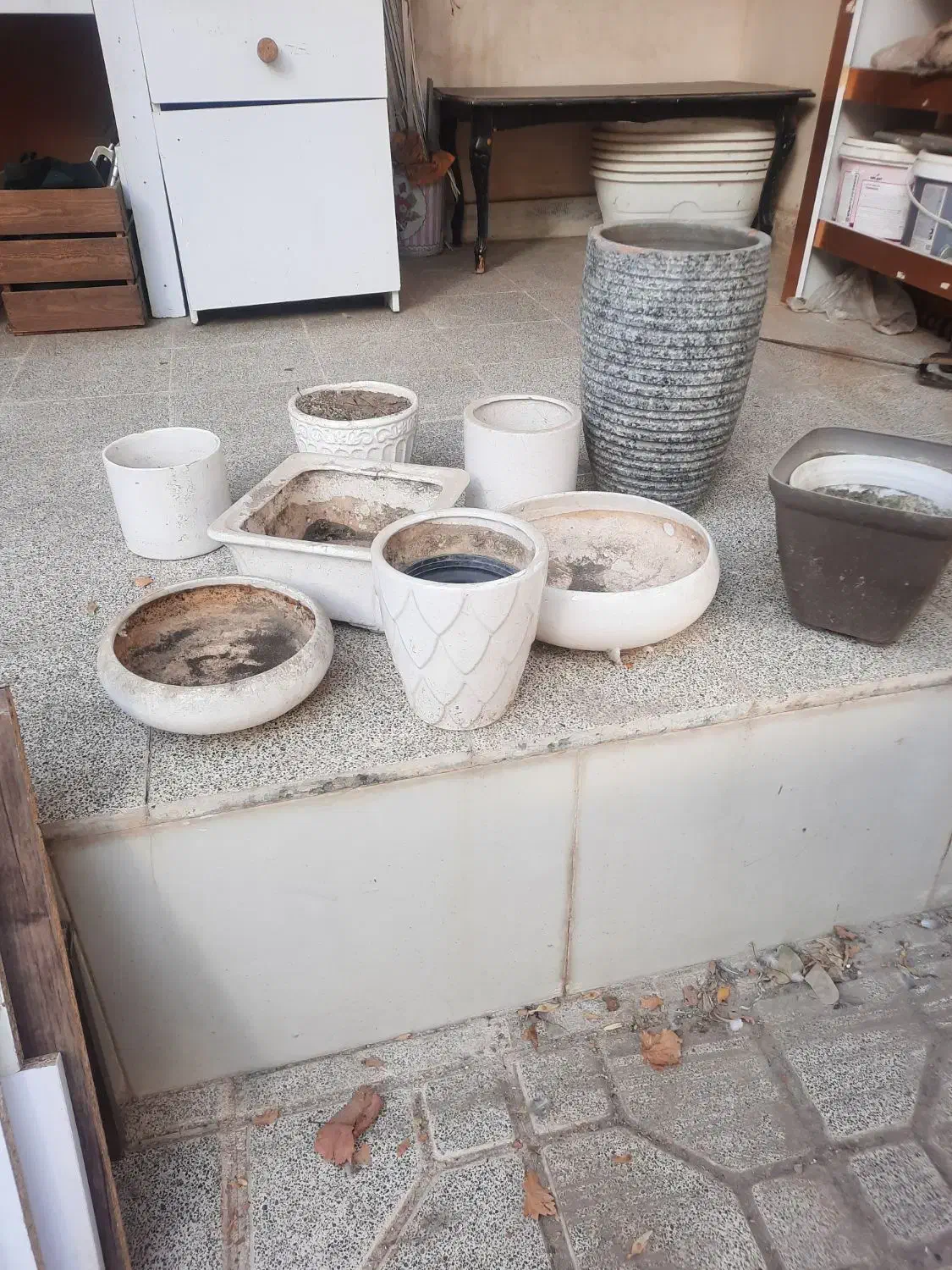 گلدان|گل و گیاه طبیعی|مشهد, اقبال|دیوار