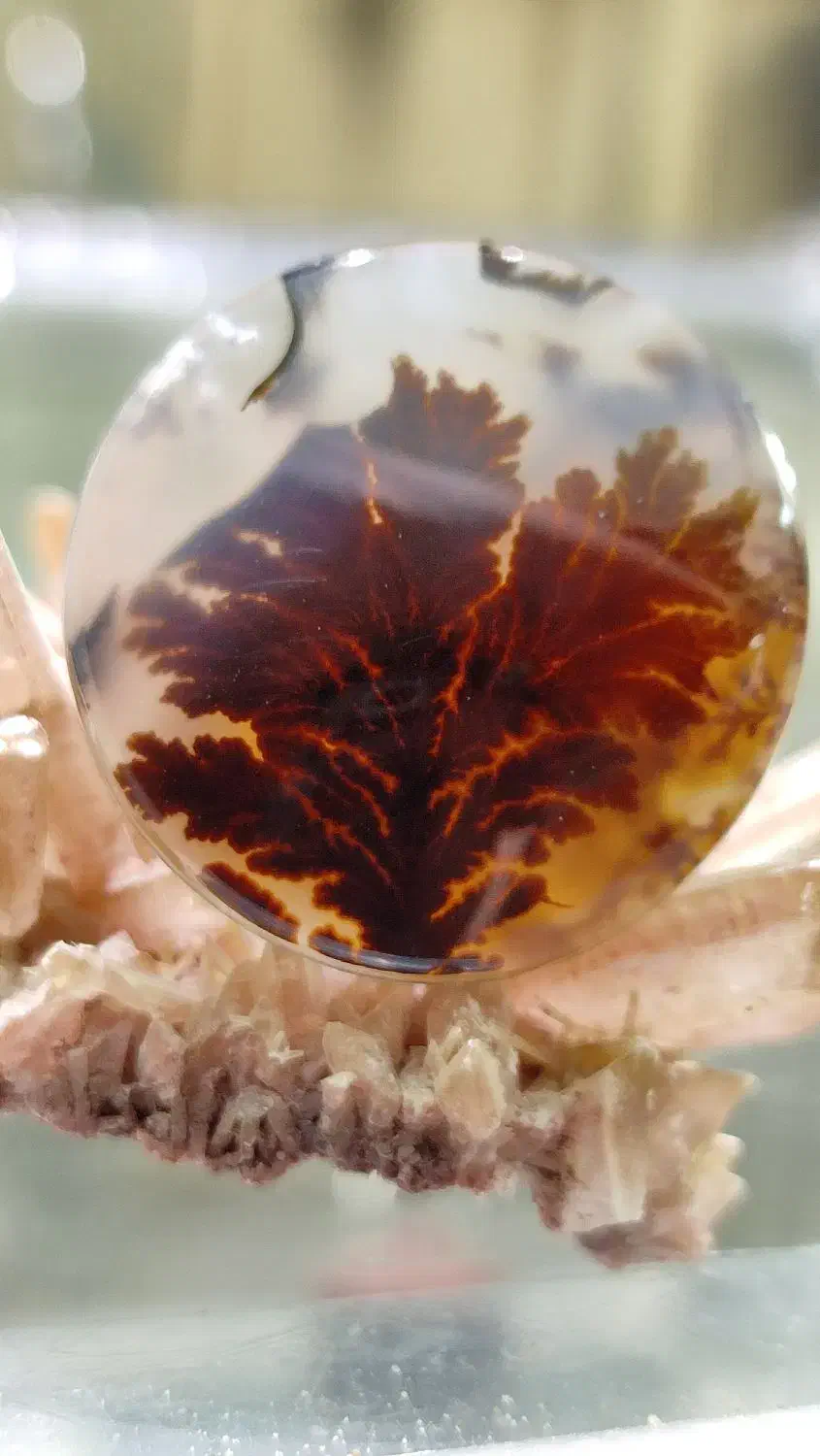 شجر کلکسیونی قاین|جواهرات|اصفهان, شهشهان|دیوار