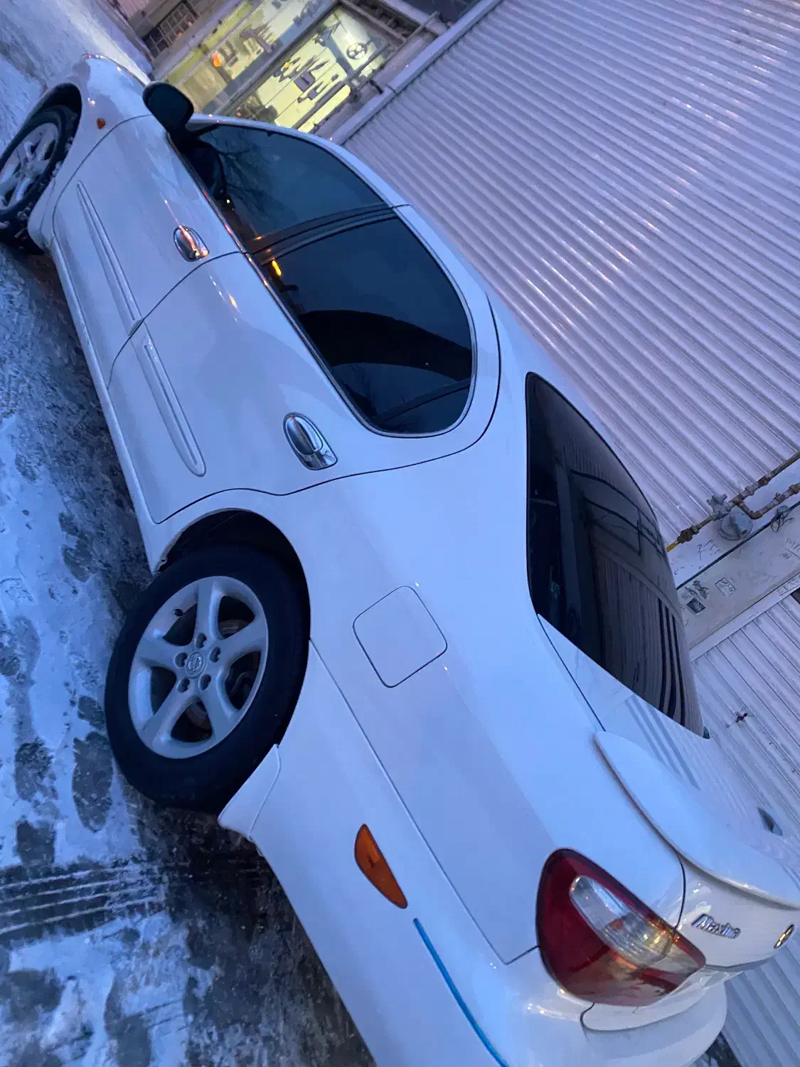 ماکسیما ۸۲|خودرو سواری و وانت|اردبیل, |دیوار