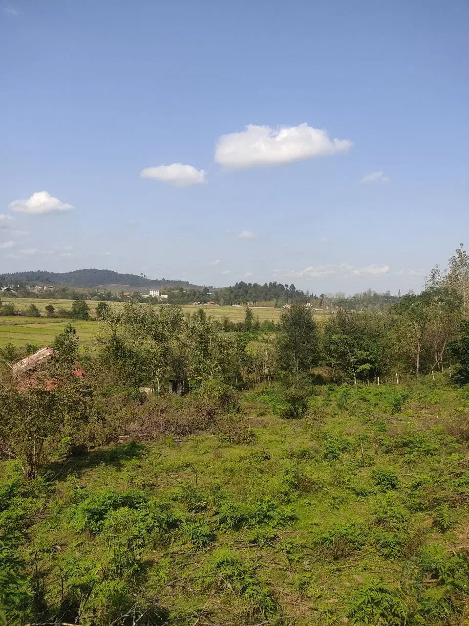 زمین روستایی کوهپایه نهزم شفت|فروش زمین و ملک کلنگی|احمدسرگوراب, |دیوار