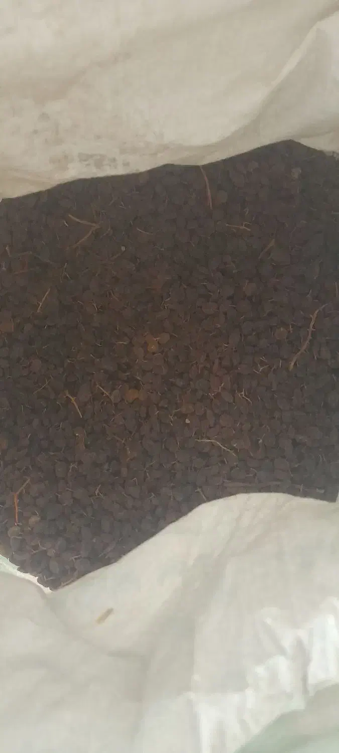 کشمش آفتابی پلویی|خوردنی و آشامیدنی|پاکدشت, پاکدشت (مامازند)|دیوار