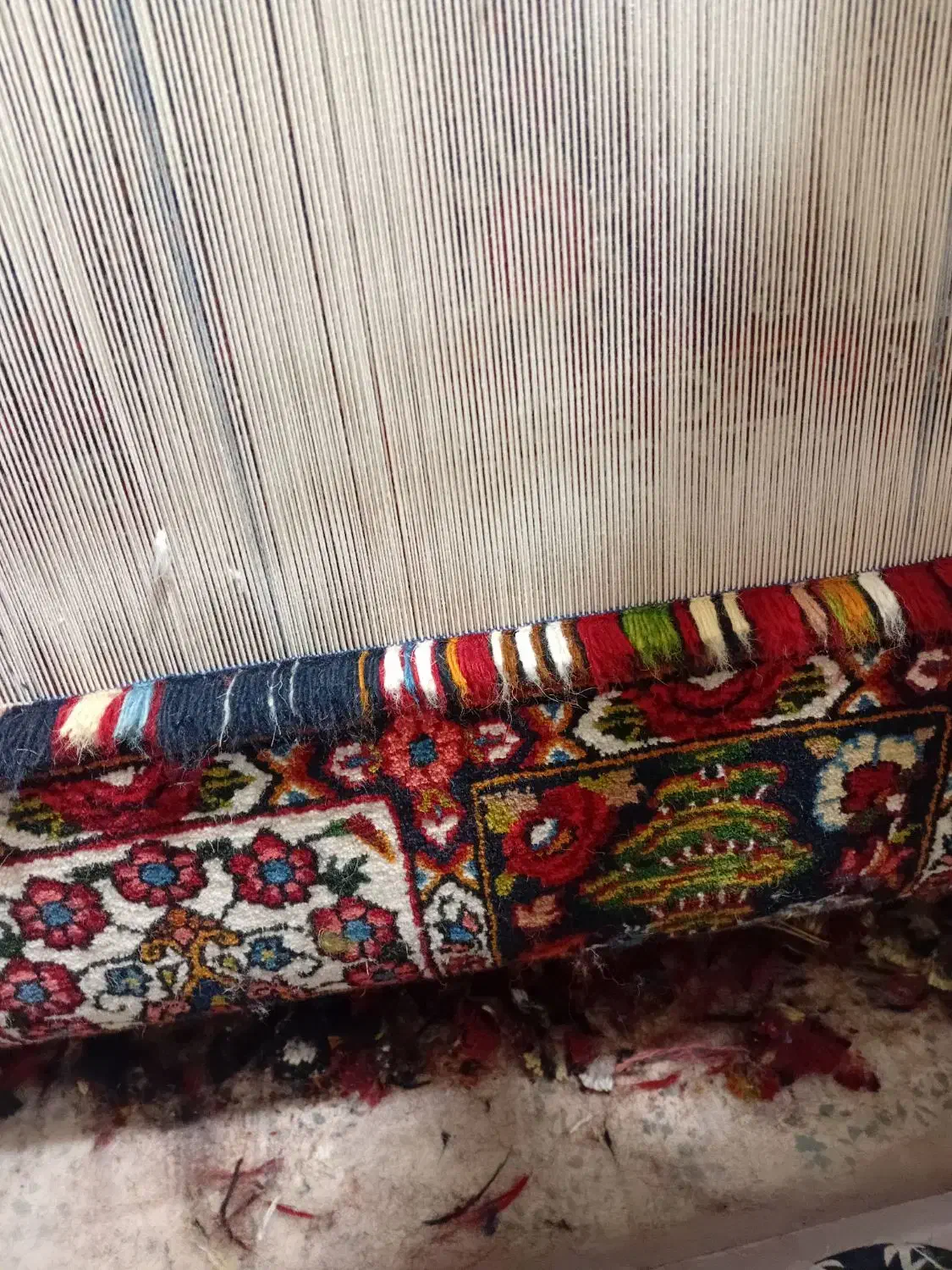 هارونی|فرش|لاران, |دیوار