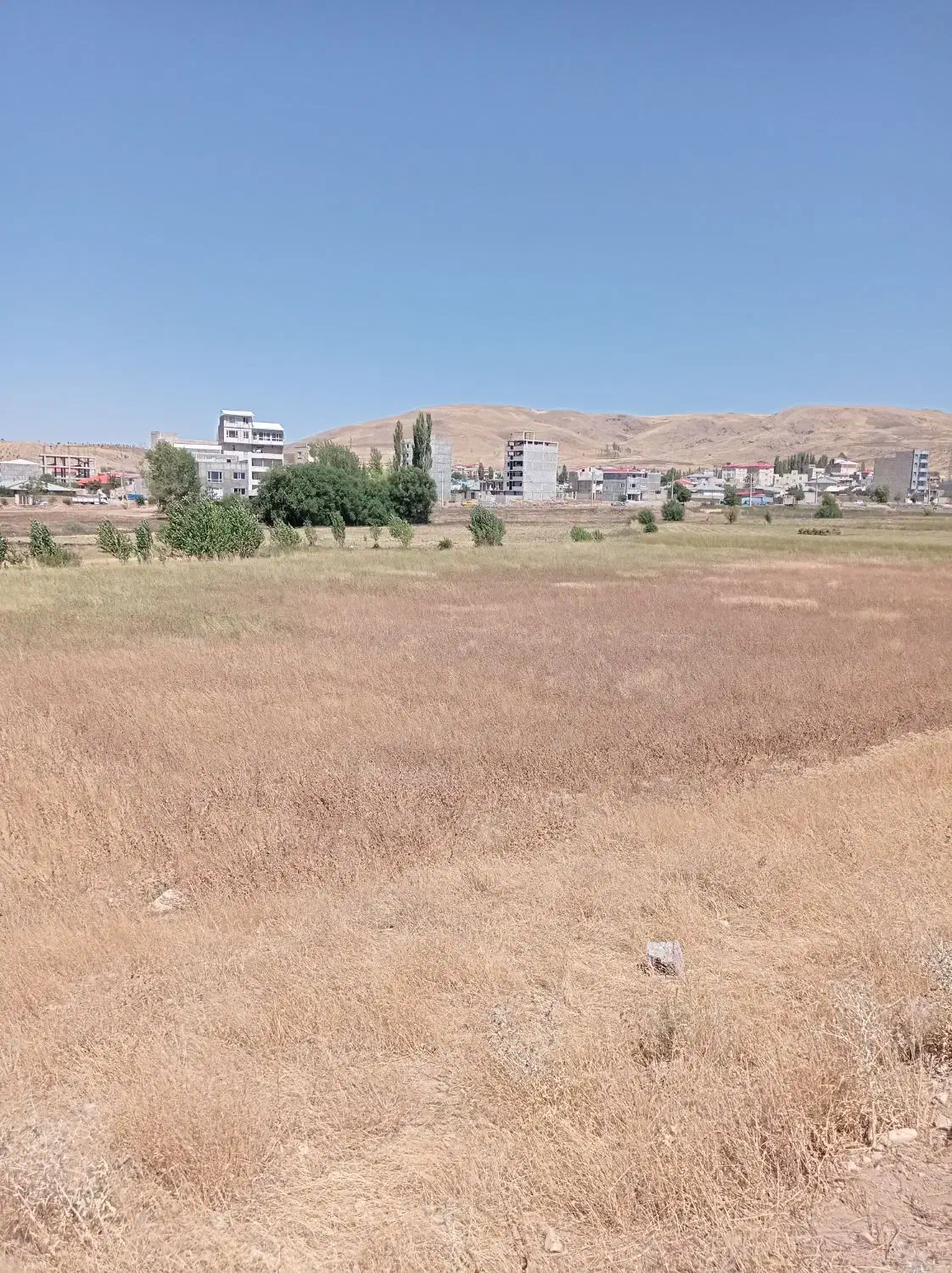 یک قطعه زمین زراعی|فروش دفتر صنعتی، کشاورزی، تجاری|خلخال, |دیوار